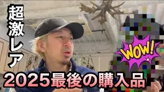 年末ギリギリで最高のネット購入品出た【2025買い納め】今年ラストの購入品紹介🔥神アイテム出た…