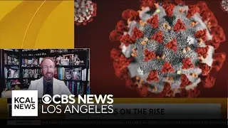 Doctor discusses COVID cases on the rise