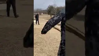 K9 Thor doing a recall from bad guy then sent for the bite