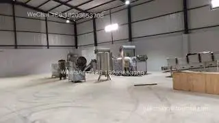 Banana chips Plantain chips production line , how to make fried chips