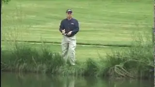Local Ponds Basic Fishing