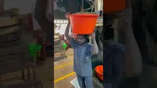 Tea Factory of India | Indian Factory