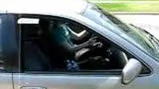 The Stop Swerve Decision
