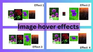Image hover effects using html and css | html | css | || frontend coding ||