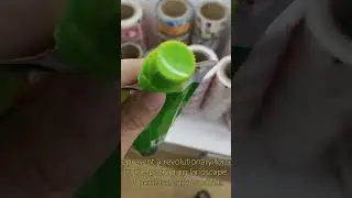 spout sachet,pouch bags with spout lid