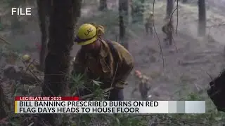 Bill would ban prescribed burns on red flag warning days