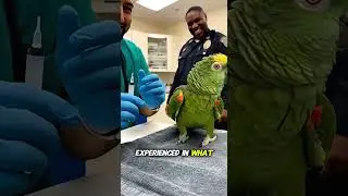 🦜 A Million?! And You&rsquo;re Still Not Good At It?! &mdash; Parrot Roasts Vet During Injection 💉😂