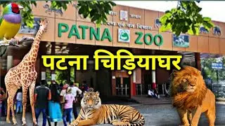 Patna  Zoo | पटना  चिड़ियाघर | Sanjay Gandhi Biological Park  | patna bihar || #bihar