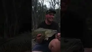 NSW camping and fishing trip! #nsw #camping #murraycod #fishing #views