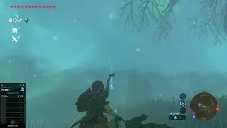 #49　失ったがんばりを取り戻しに行くぜ！　【初見のふりブレワイ】