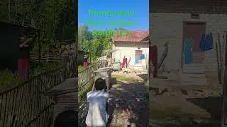 bts kardiman