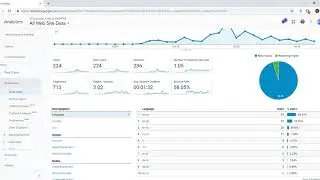 BAGSSHOPPER PROOF OF TRAFFIC GOOGLE ANALYTICS