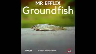 MR EFFLIX - Elements (DJ Sedatophobia Remix)