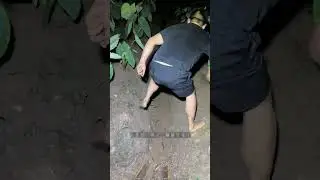 He Just Sprinkled Water And the Fish Came Into the Net Themselves 😱 #shorts #shortvideo #fishing