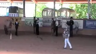 Showmanship at Halter LK 5A Lübben 1. Platz