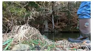 12 Mile Creek - Cohocton, NY - Hunt & Fish