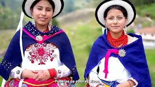 CAMPA&Ntilde;A: 