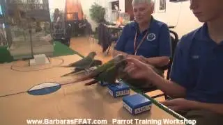 Hands on Parrot Training Workshop