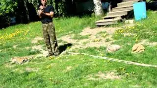 MOV03802.MPG
