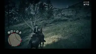 RDO (Steam Deck) 1/16/2026