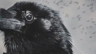 Крик вороны 🐦&zwj;⬛ - Завершение&hellip;
