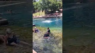 Barton Springs Austin TX #shorts #turismo #rios #river #vacation