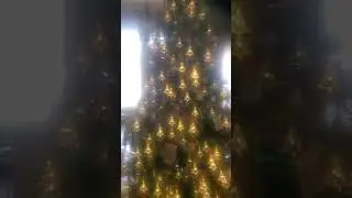 2020-2021 Christmas (in Color)