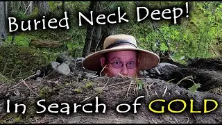 Where to find gold?  Evaluating a new claim.
