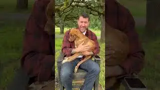 Раскрытие породы прекрасной Ванки