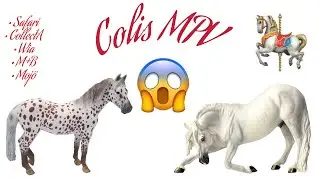 Colis MPV ! 🎠