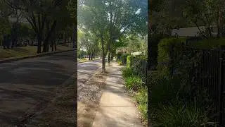 Sydney Australia Suburban Walking Tour | Peaceful Evening Walk ASMR | 4K Australia Street View