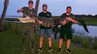 WILD Florida Alligator Hunting: Pulling an All Nighter' and Tagging Out!