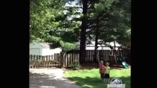 Peck out your eyes