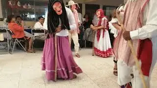 El baile de los viejitos mix grupo AVATAR