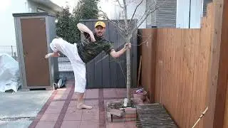 Exercicio Mawashigeri verdadeiro karate