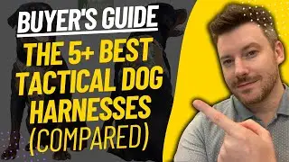 TOP 5 BEST TACTICAL DOG HARNESSES - Best Tactical Dog Harness Review (2023)