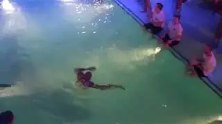 Mega party at the Carnival Vista 5/9. Dj Xtreme and Matt Mitcham. People fall in the pool.