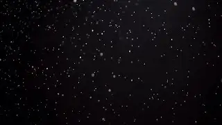 Slow Motion Rain Stock Video