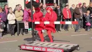 Zevenaar Carnavalsoptocht 2014