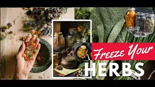 Freeze Your Herbs: The Ultimate Kitchen & Skincare Hack!