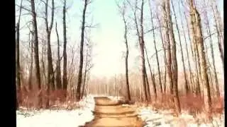 NOFX - 13 Stitches - Acoustic Version