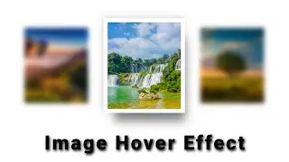 CSS Image Blur Hover Effect Using Pure CSS | CSS Card | CSS Images | #DeveloperHub