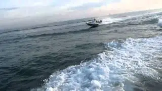 Ribeye S785 RIB .MOV