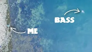 Topwater Bass & Seal Eating Huge Squid - Amazing Drone Footage! | The Fal Anglers