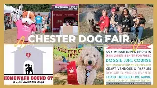 CHESTER DOG FAIR 🐶 BY HOMEWARD BOUND CT | Bidding Dog Days of Summer, Goodbye! | Marchmalloworld