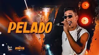 PELADO - Rock Salles | Na Bodega 3.0 - OFICIAL