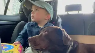 First Time at the Car Wash Dog Helps Toddler Fight the Fear