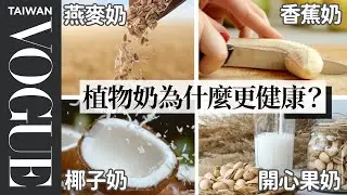 植物奶大全！從杏仁奶到馬鈴薯奶17種植物奶功能及做法介紹 Food Scientist Breaks Down Every Plant-Based Milk｜療癒廚房｜Vogue Taiwan