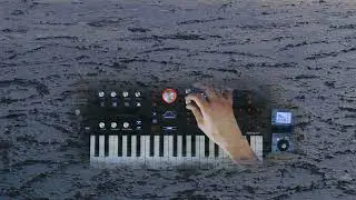 Frostbite - Hydrasynth Explorer Sounds (w. Zoom MS70-CDR)
