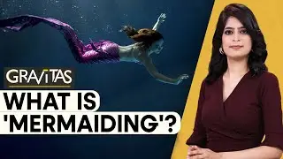 Gravitas: 'Exotic' jobs around the world